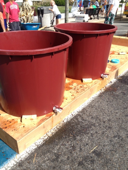 Buckets big enough to hold three people to grape stomp! Photo Credit: Alison Mastrangelo